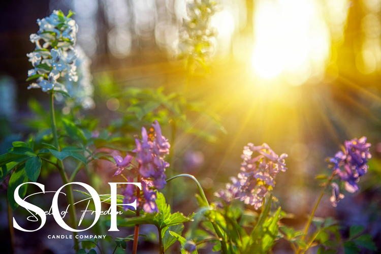 Spring and Summer Sun - Smell of Freedom Candle Company