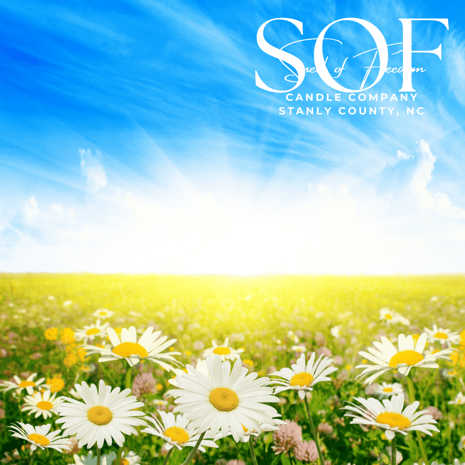 Spring and Summer Sun Flame Free Wax Melts - Smell of Freedom Candle Company