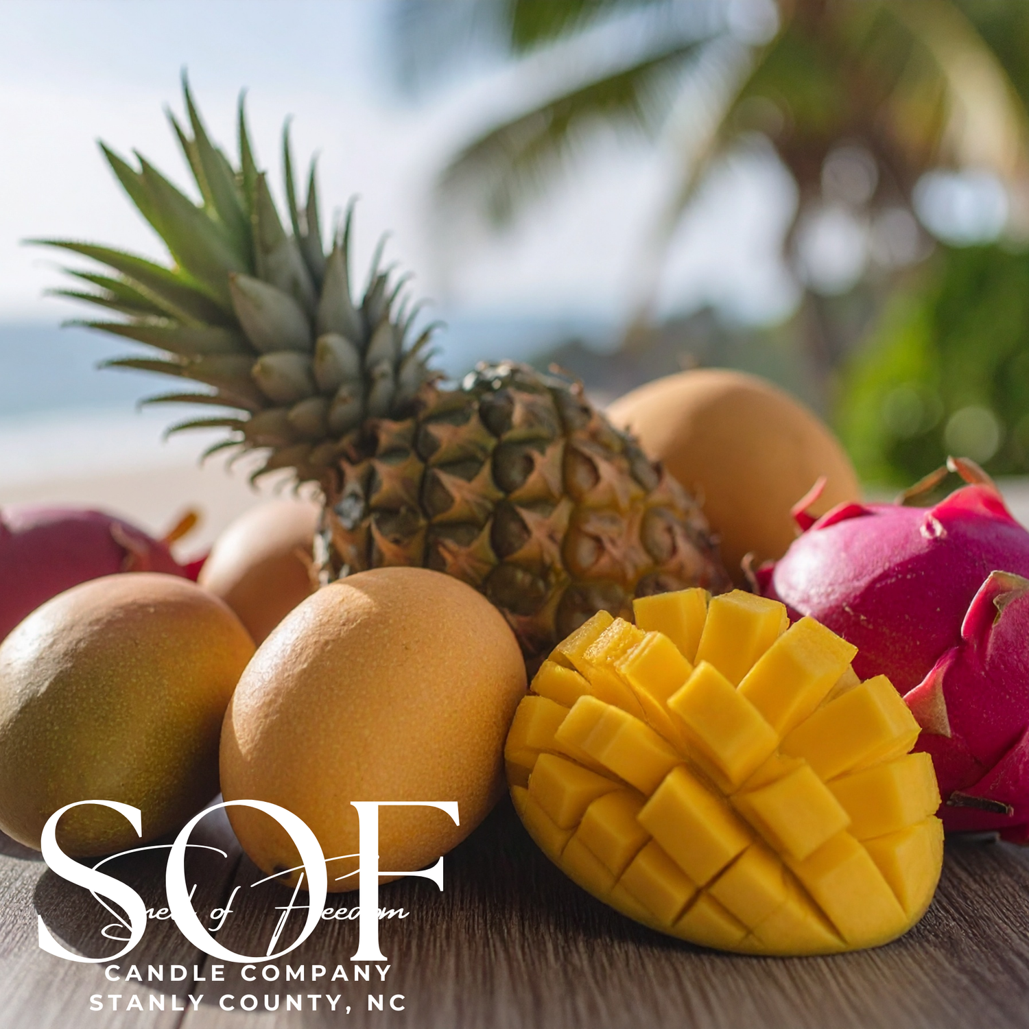 Spring and Summer Sun Foaming Hand Soap - Smell of Freedom Candle Company