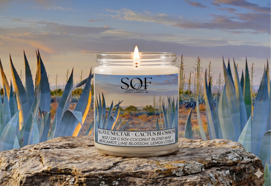 Agave Nectar + Cactus Blossom Candle Collection