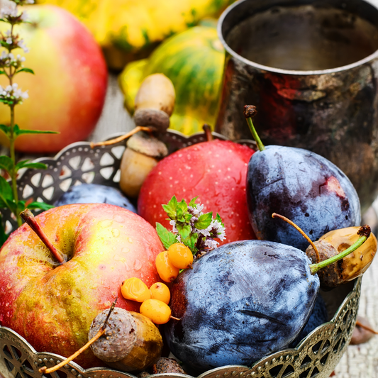 Fall Harvest
