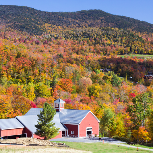 Fall in New England
