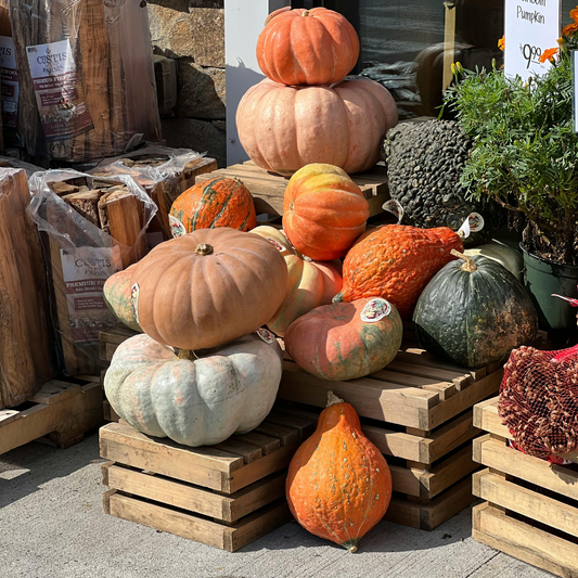 Heirloom Pumpkin Foaming Hand Soap