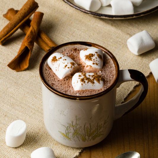 Hot Cocoa Foaming Hand Soap