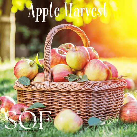 Apple Harvest Fragrance Collection - Smell of Freedom Candle Company