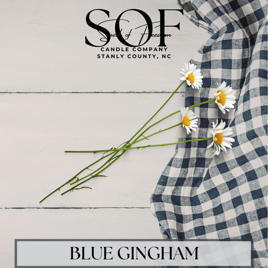 Blue Gingham Foaming Hand Soap - Smell of Freedom Candle Company