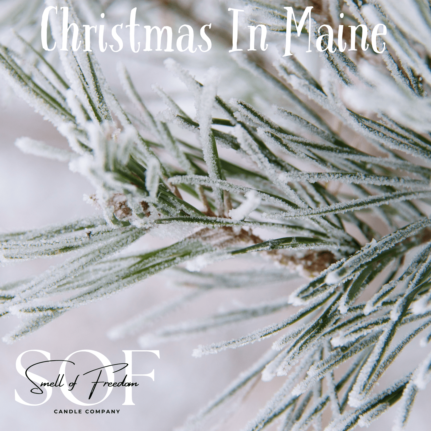 Christmas in Maine Candle Collection - Smell of Freedom Candle Company