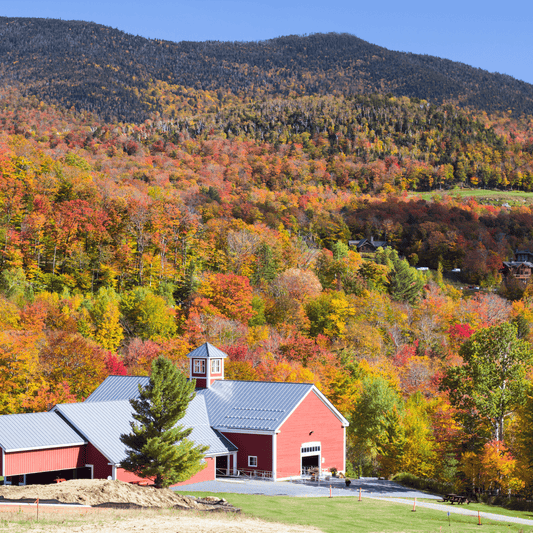Fall in New England Wax Melts - Smell of Freedom Candle Company