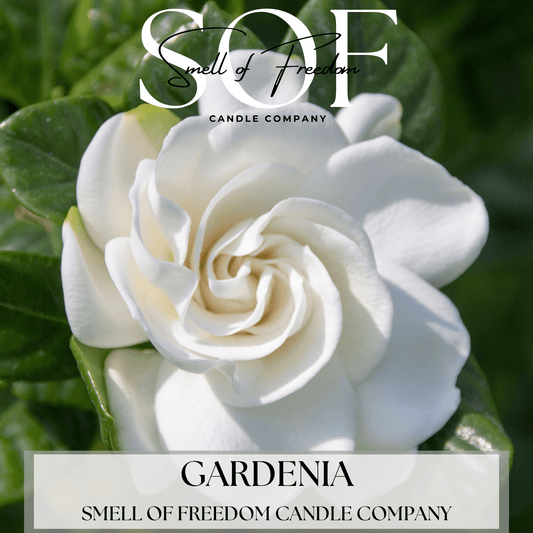 Gardenia Hand Soap - Smell of Freedom Candle Company
