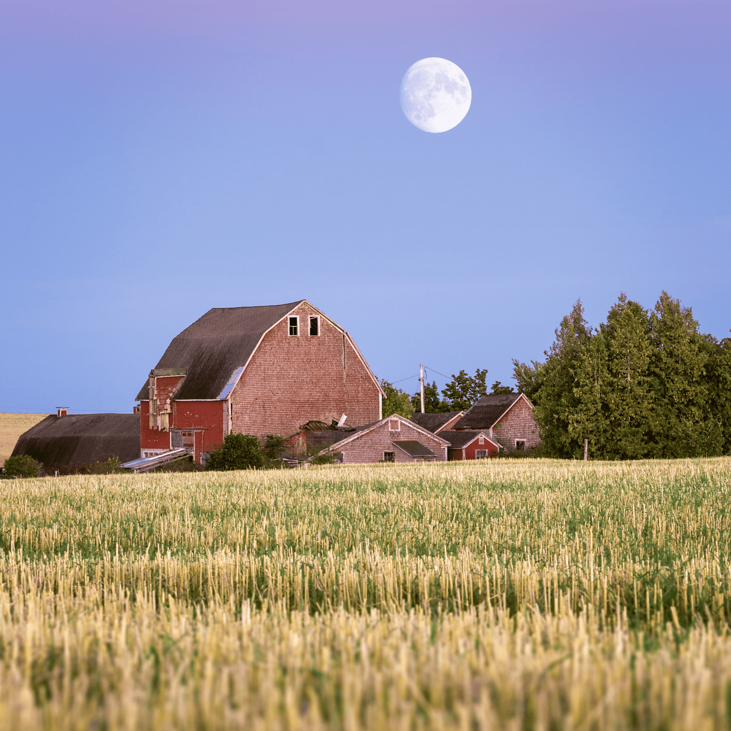 Harvest Moon