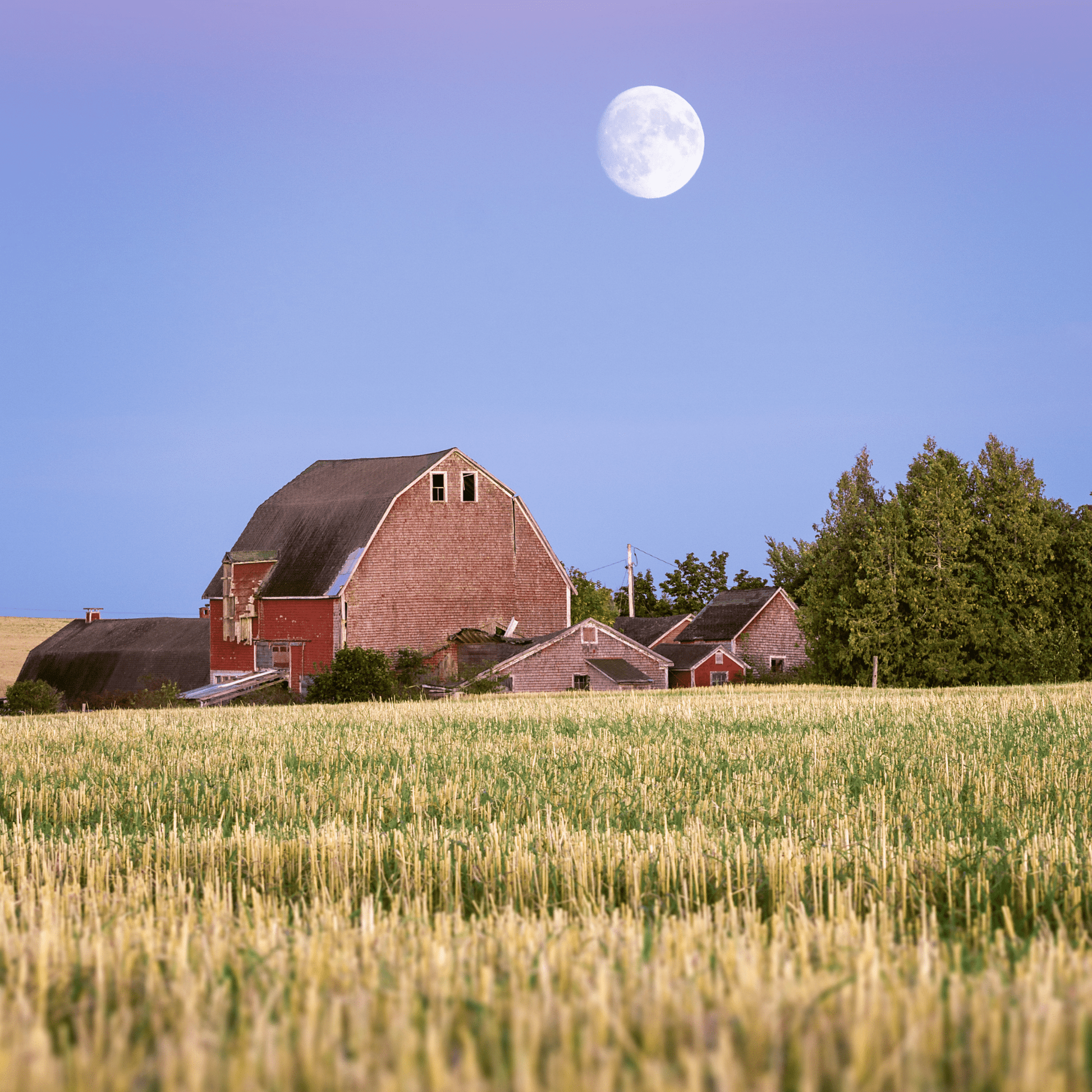Harvest Moon