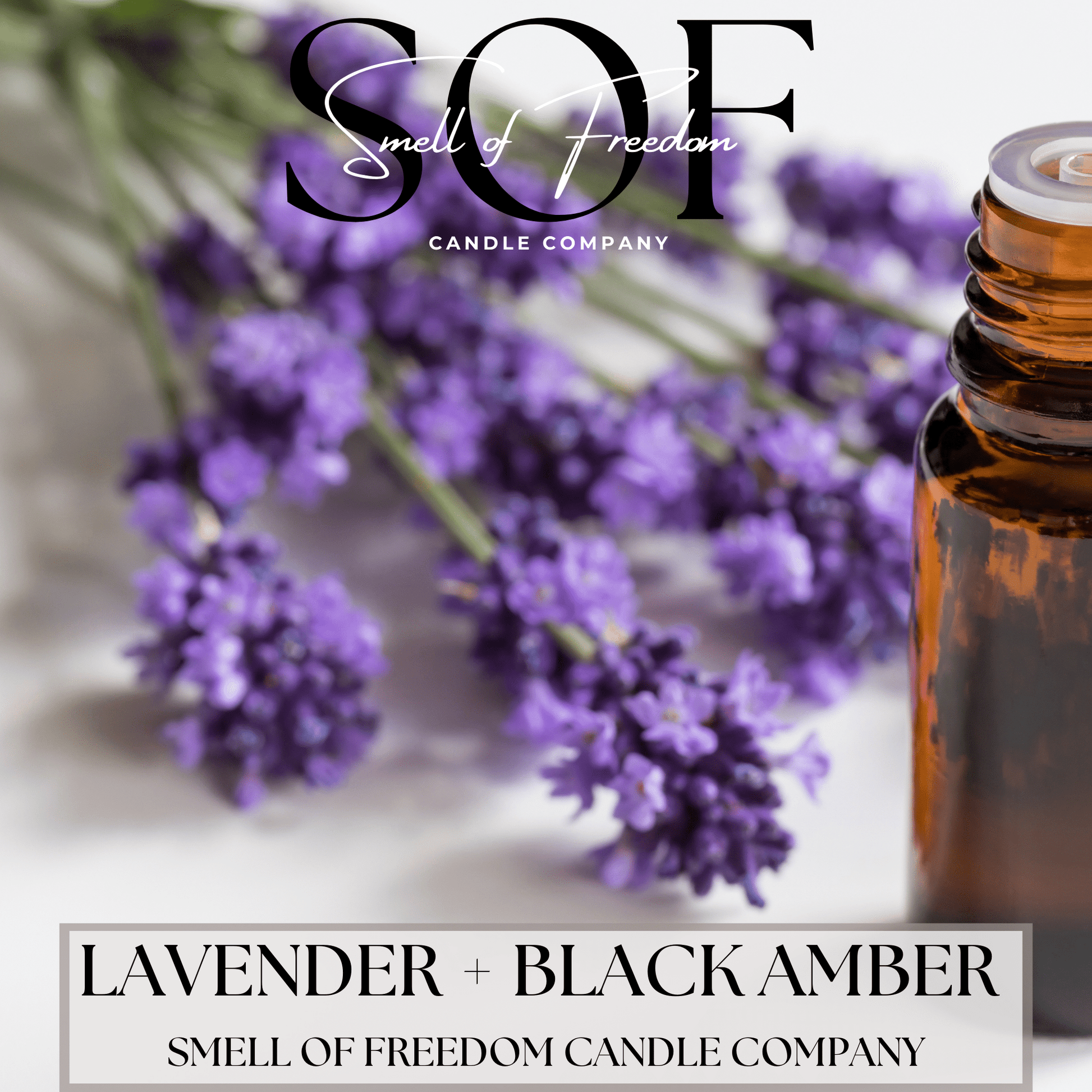Lavender + Black Amber Fragrance Collection - Smell of Freedom Candle Company