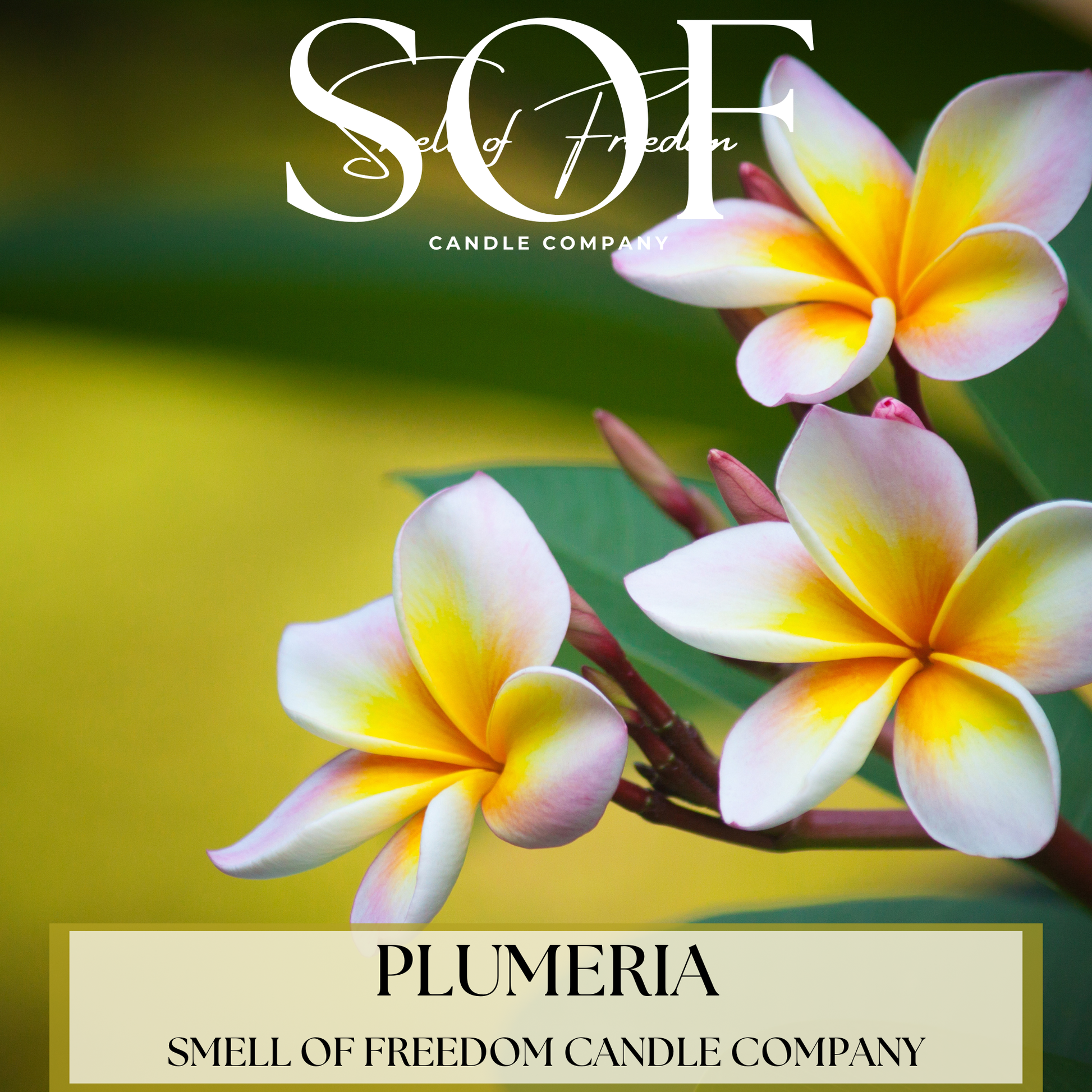 Plumeria Hand Soap - Smell of Freedom Candle Company