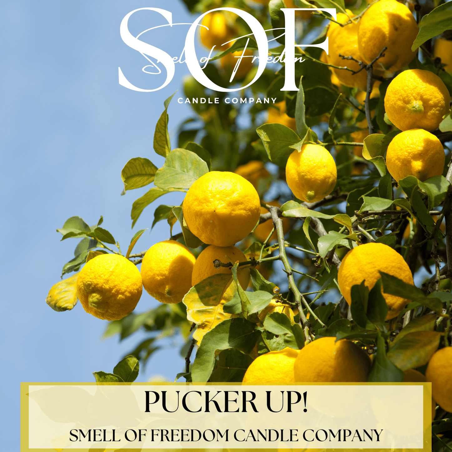 Pucker Up! Hand Soap - Smell of Freedom Candle Company