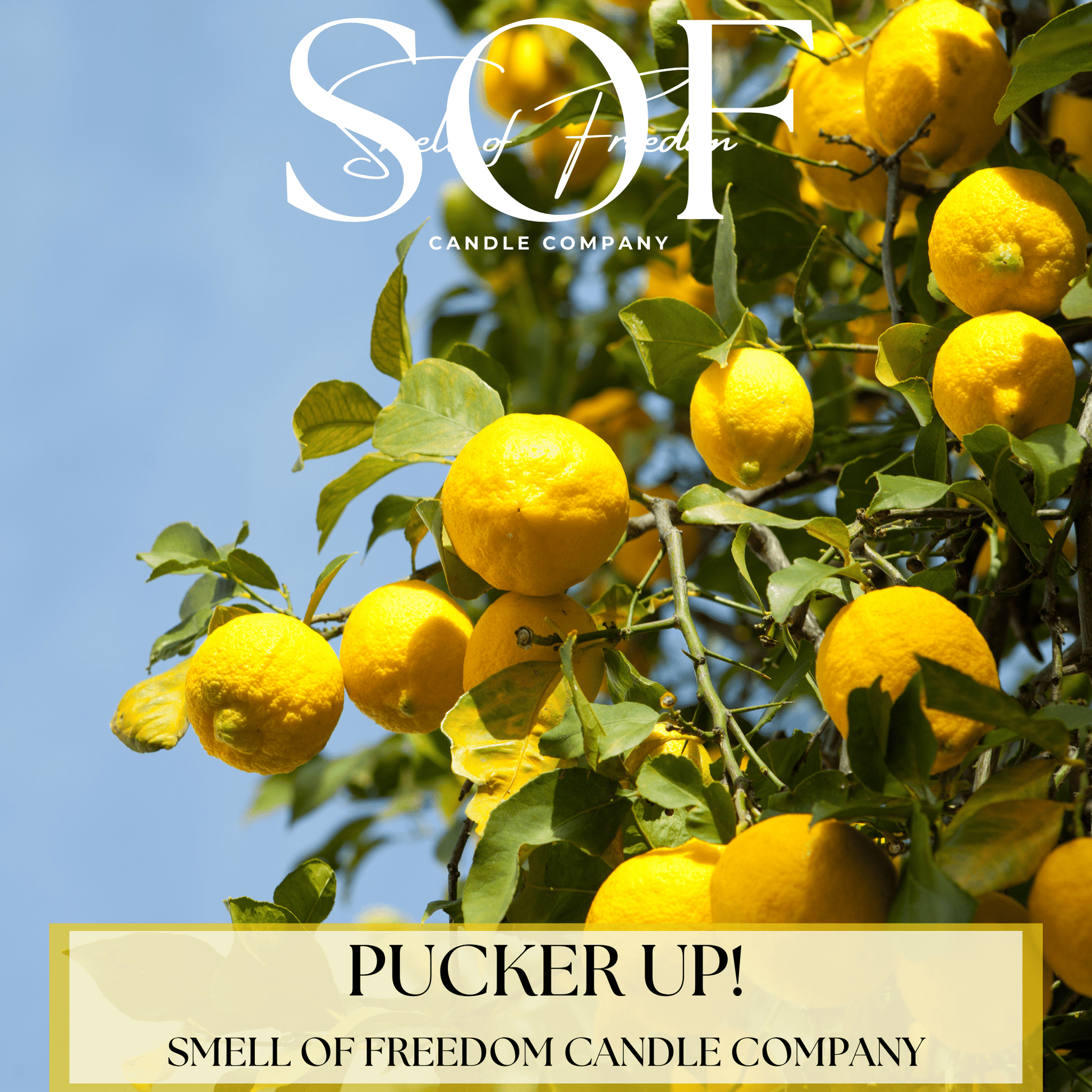 Pucker Up! Hand Soap - Smell of Freedom Candle Company