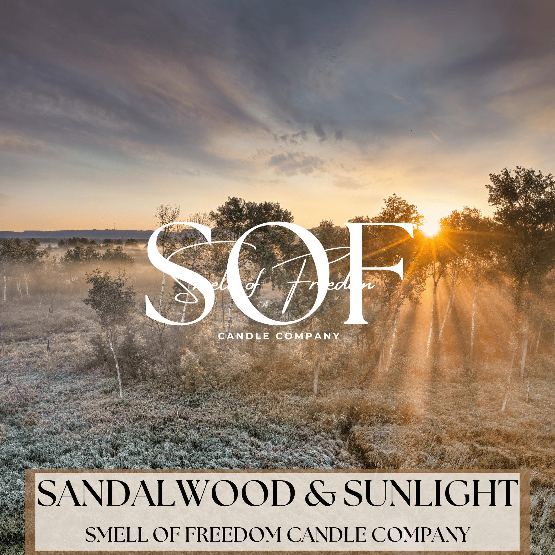 Sandalwood & Sunlight Fragrance Collection - Smell of Freedom Candle Company