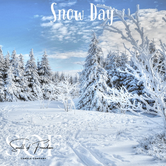 Snow Day Flame Free Wax Melt - Smell of Freedom Candle Company