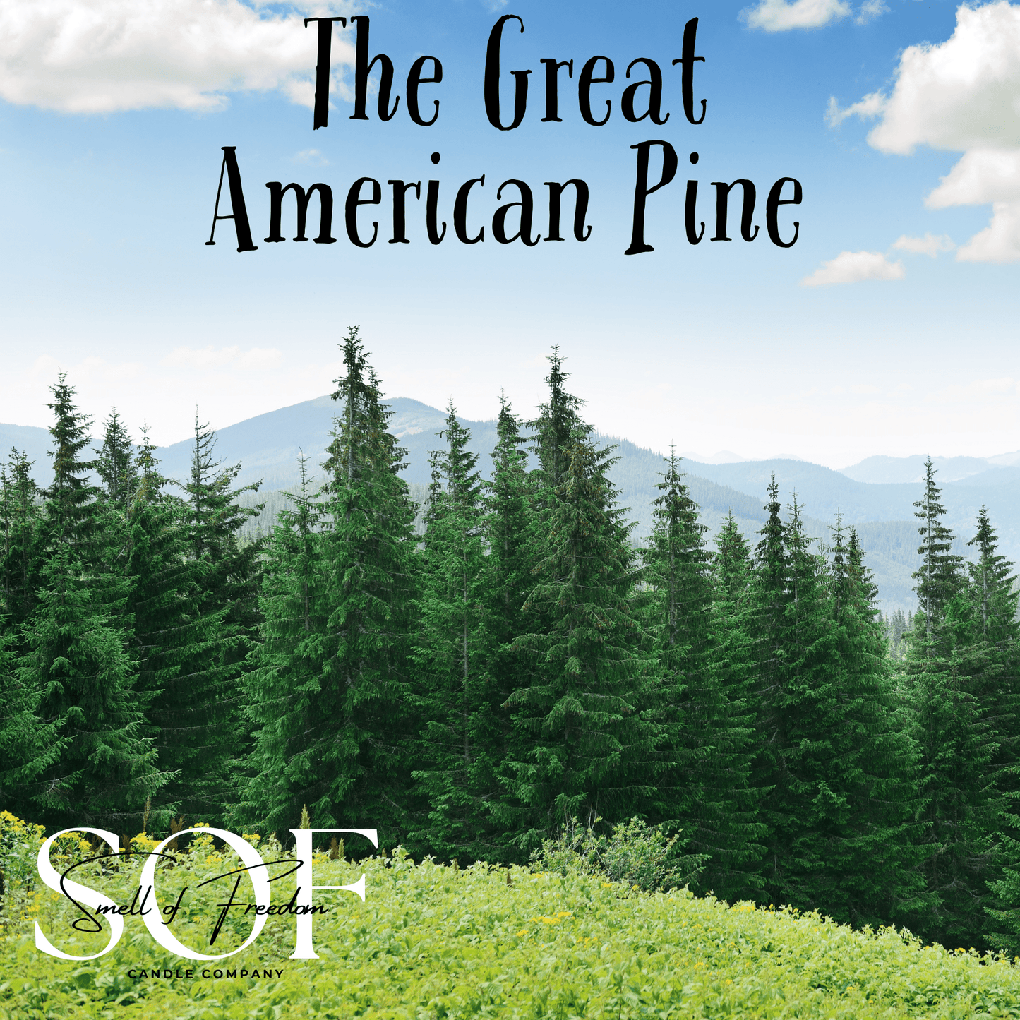 The Great American Pine Foaming Hand Soap - Smell of Freedom Candle Company