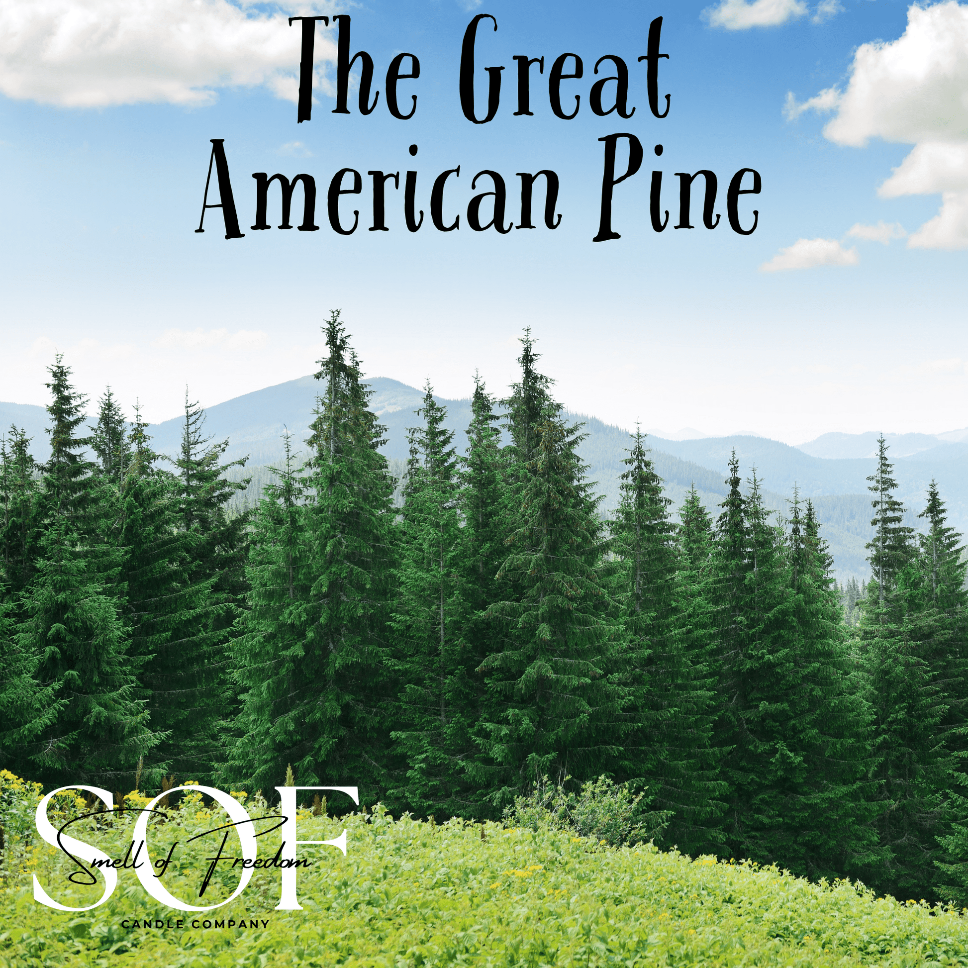 The Great American Pine Foaming Hand Soap - Smell of Freedom Candle Company