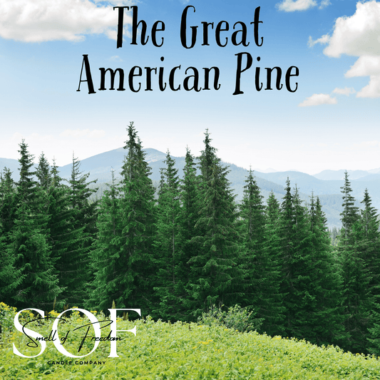The Great American Pine Foaming Hand Soap - Smell of Freedom Candle Company